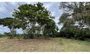 VENTA DE FINCA EN QUIMBAYA, QUINDO, COLOMBIA