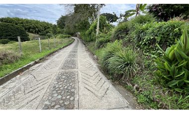 VENTA DE FINCA EN QUIMBAYA, QUINDO, COLOMBIA