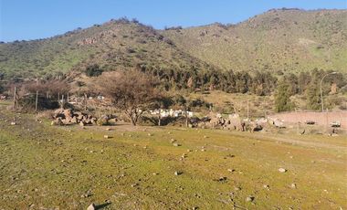 Sitio en Venta en La Vendimia