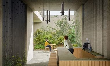 Nuevo Local Comercial En Chapultepec Roma Norte