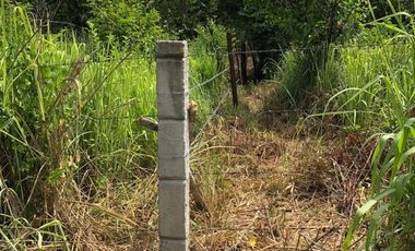 terreno en venta orilla de carretera en paso del toro