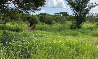 terreno en venta orilla de carretera en paso del toro
