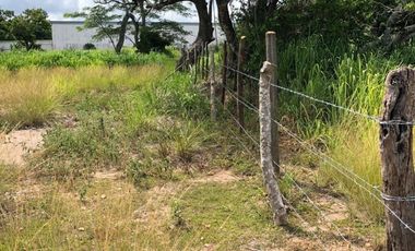 terreno en venta orilla de carretera en paso del toro