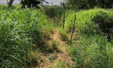 terreno en venta orilla de carretera en paso del toro
