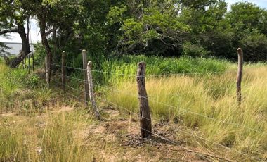 terreno en venta orilla de carretera en paso del toro