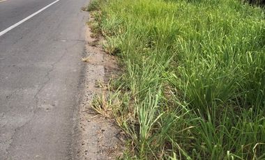 terreno en venta orilla de carretera en paso del toro