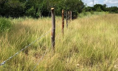 terreno en venta orilla de carretera en paso del toro