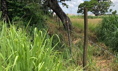 terreno en venta orilla de carretera en paso del toro