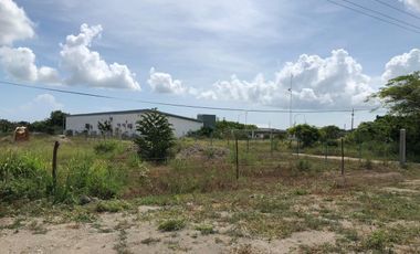 terreno en venta orilla de carretera en paso del toro