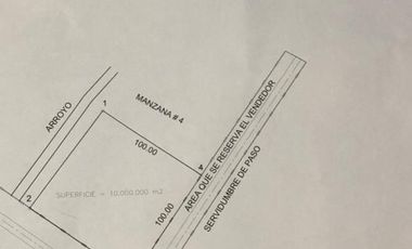 terreno en venta orilla de carretera en paso del toro