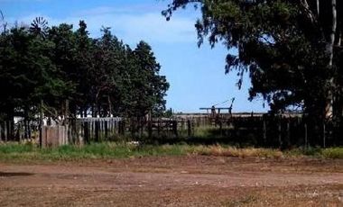Terreno en Venta en Darragueira, Puán, Resto de la Provincia, Buenos Aires, Argentina