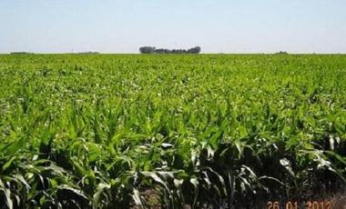 Terreno en Venta en Darragueira, Puán, Resto de la Provincia, Buenos Aires, Argentina