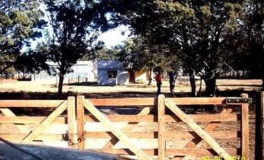 Terreno en Venta en Darragueira, Puán, Resto de la Provincia, Buenos Aires, Argentina