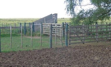 Casa en Venta en La Reforma, Limay Mahuida, La Pampa, Argentina