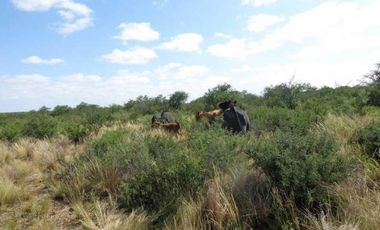Casa en Venta en La Reforma, Limay Mahuida, La Pampa, Argentina