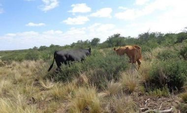 Casa en Venta en La Reforma, Limay Mahuida, La Pampa, Argentina