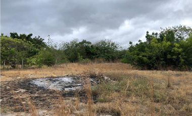 Venta: Lote en segunda línea de playa en Nueva Gorgona