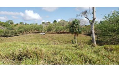 Venta: 6 hectáreas tituladas frente a Lago Bayano