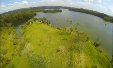 Venta: 6 hectáreas tituladas frente a Lago Bayano