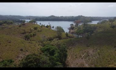 Venta: 6 hectáreas tituladas frente a Lago Bayano