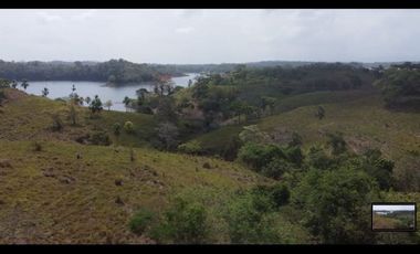 Venta: 6 hectáreas tituladas frente a Lago Bayano