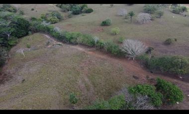 Venta: 6 hectáreas tituladas frente a Lago Bayano