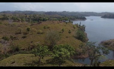 Venta: 6 hectáreas tituladas frente a Lago Bayano