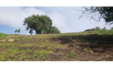 Venta: 6 hectáreas tituladas frente a Lago Bayano