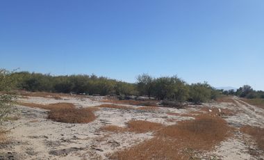 TERRENO EN VENTA, MAPIMI. DURANGO.