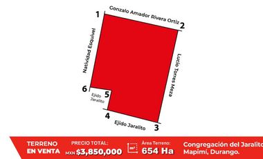 TERRENO EN VENTA, MAPIMI. DURANGO.