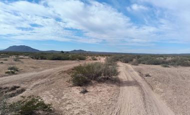 TERRENO EN VENTA, MAPIMI. DURANGO.