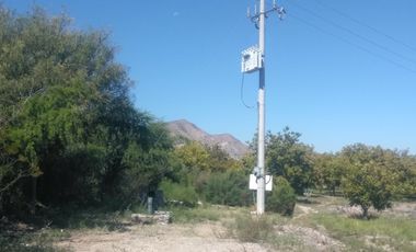 SE VENDE TERRENO CON NOGALES EN PARRAS DE LA FUENTE, COAHUILA