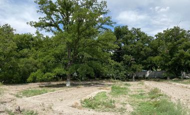 SE VENDE TERRENO CON NOGALES EN PARRAS DE LA FUENTE, COAHUILA