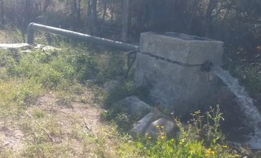 SE VENDE TERRENO CON NOGALES EN PARRAS DE LA FUENTE, COAHUILA