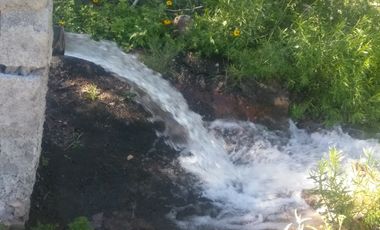 SE VENDE TERRENO CON NOGALES EN PARRAS DE LA FUENTE, COAHUILA