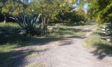 SE VENDE TERRENO CON NOGALES EN PARRAS DE LA FUENTE, COAHUILA
