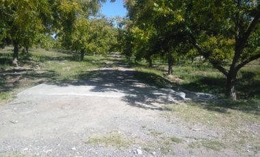 SE VENDE TERRENO CON NOGALES EN PARRAS DE LA FUENTE, COAHUILA
