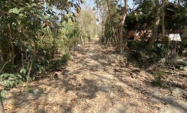 Land for sale in Wiang, Chiang Rai