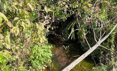 Land for sale in Wiang, Chiang Rai