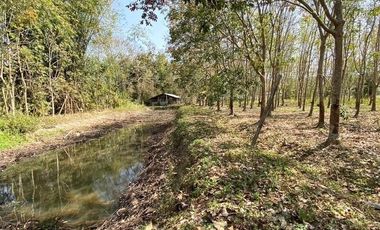 Land for sale in Wiang, Chiang Rai