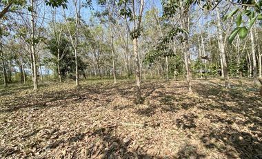 Land for sale in Wiang, Chiang Rai