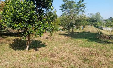4 Bedroom House for sale in Pa O Don Chai, Chiang Rai