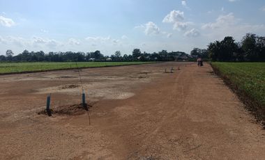 Land for sale in , Chiang Rai