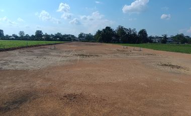 Land for sale in , Chiang Rai