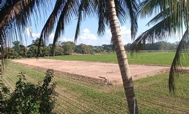 Land for sale in , Chiang Rai