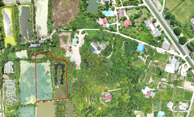 Land for sale in Nakhon Pathom, Nakhon Pathom