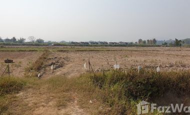 Land for sale in Mae Khao Tom, Chiang Rai
