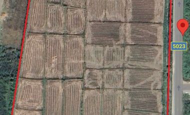 Land for sale in Mae Khao Tom, Chiang Rai