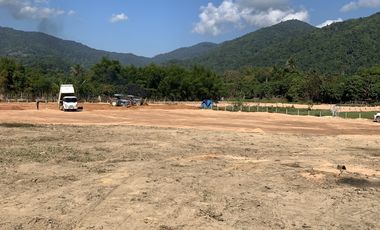 Land for sale in Nang Lae, Chiang Rai