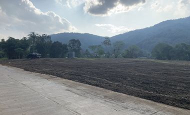 Land for sale in Nang Lae, Chiang Rai